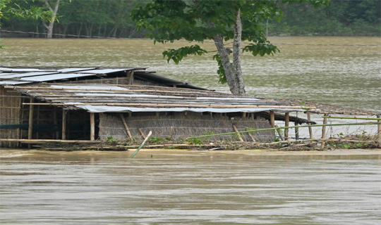 আসামে বন্যা পরিস্থিতি এখনও উদ্বেগজনক