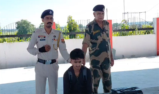 ১২ কেজি গাঁজা সহ যুবক আটক উদয়পুর স্