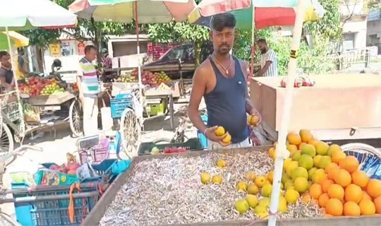 মিজোরাম থেকে সীমিত পরিমানে শীতের জনপ