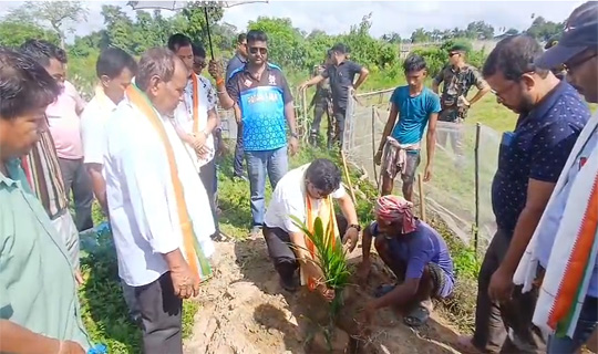 অকেজো জমিকে কাজে লাগিয়ে কৃষকদের আয় দ
