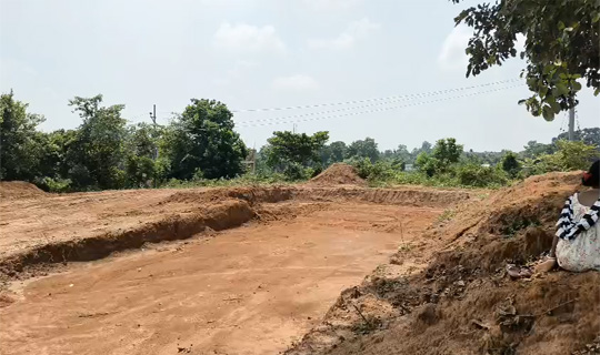 সরকারি অফিসের জন্য চা গাছ কেটে ফেলার